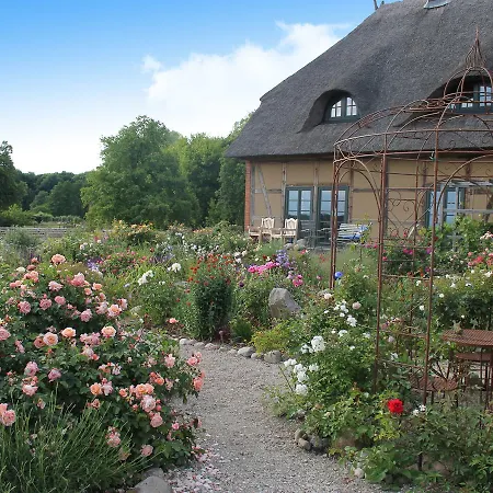 Stylish In Alt With Garden
